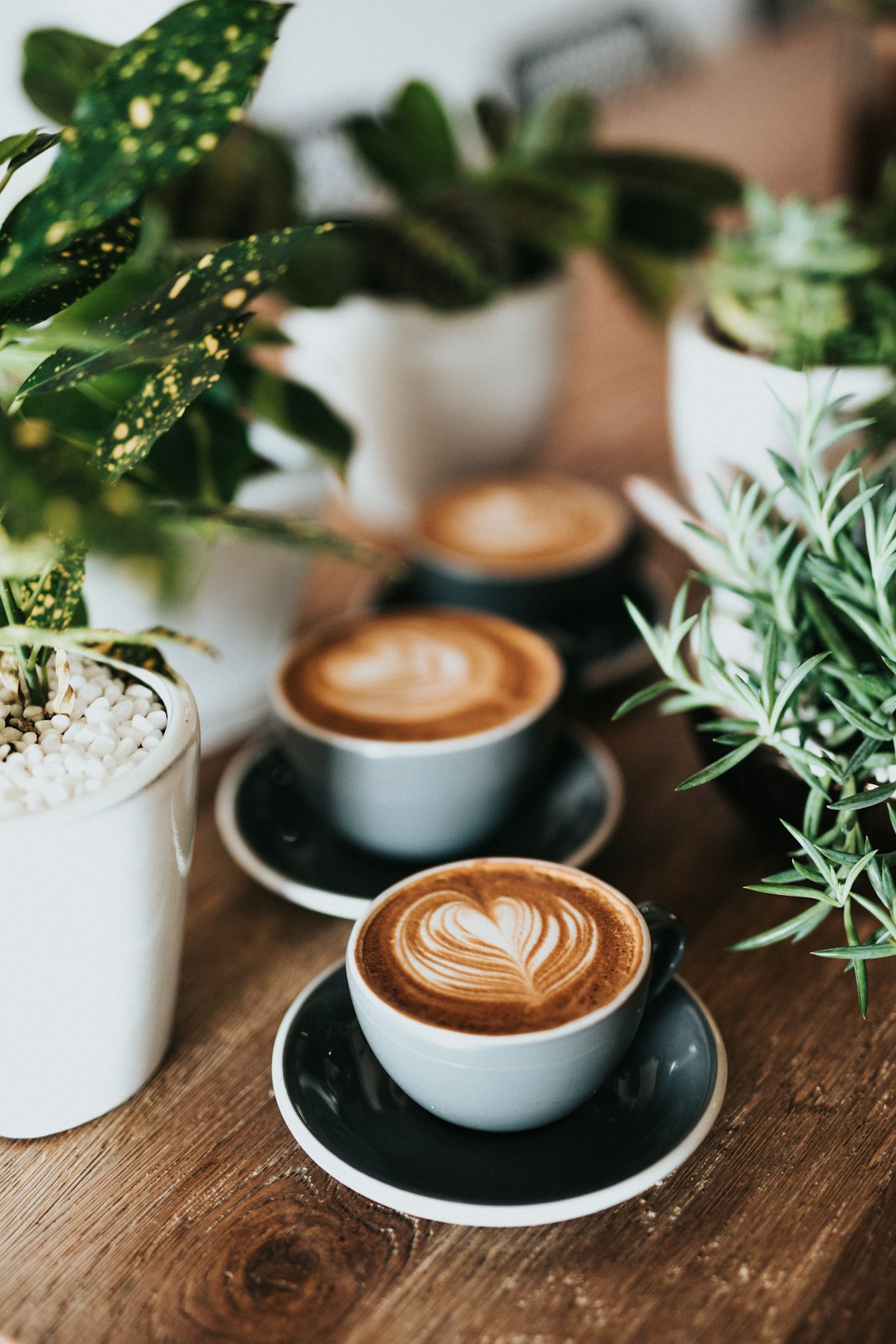Preparación de café en una cafetería